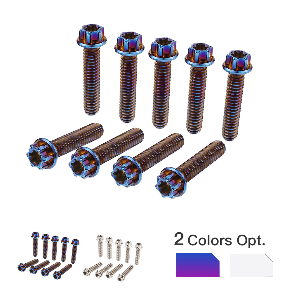 Cam Cover Screws Bolts Kit For Harley Road King Electra Street Glide Freewheeler