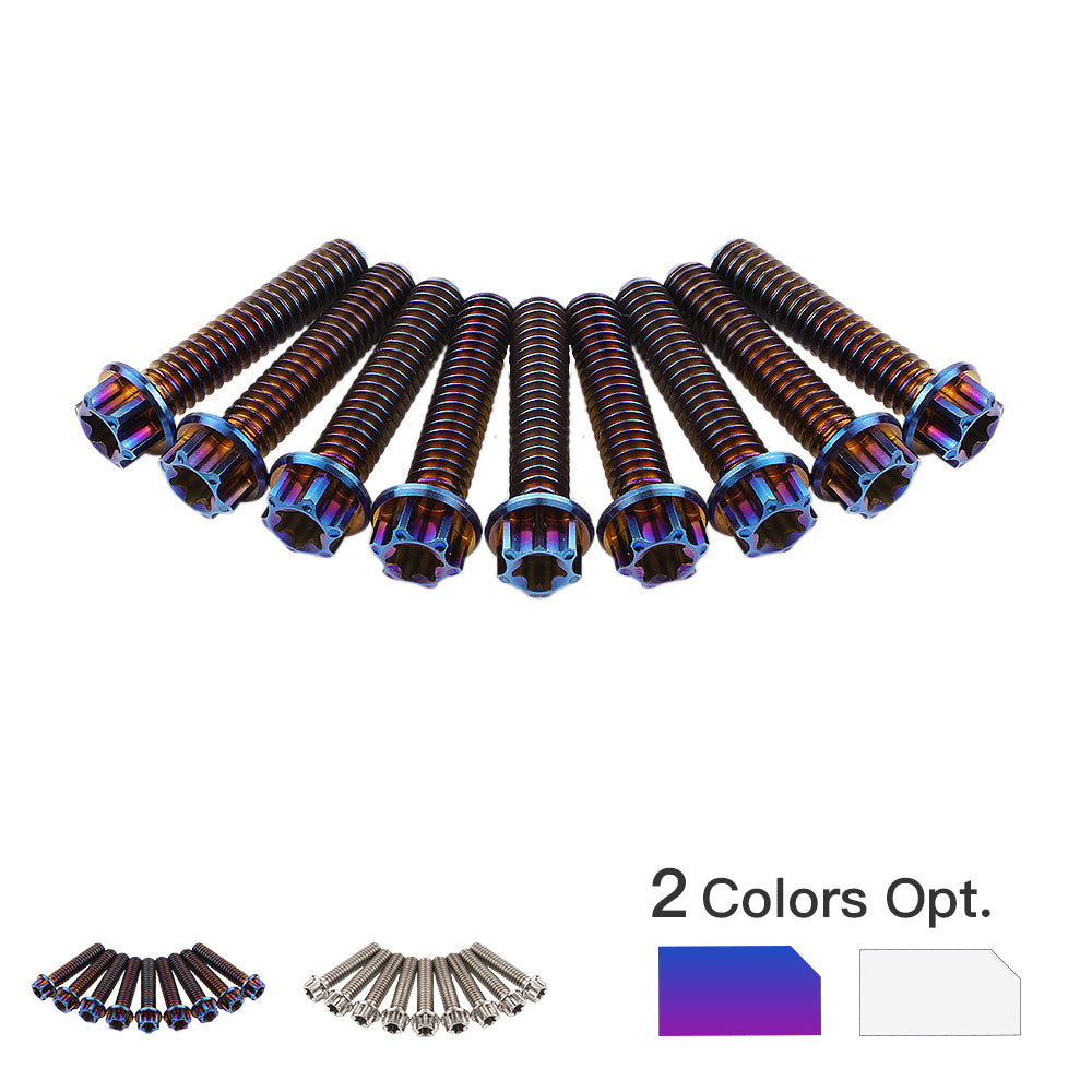 Cam Cover Screws Bolts Kit For Harley Road King Electra Street Glide Freewheeler