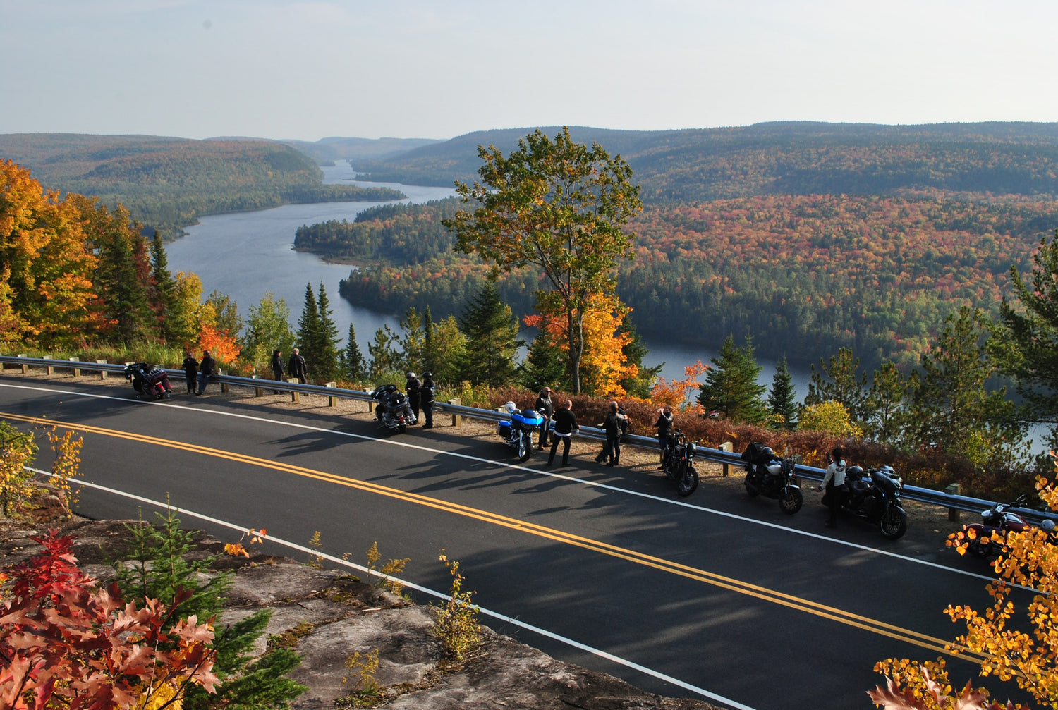 Guide To Different Types Of Motorcycles For Beginners