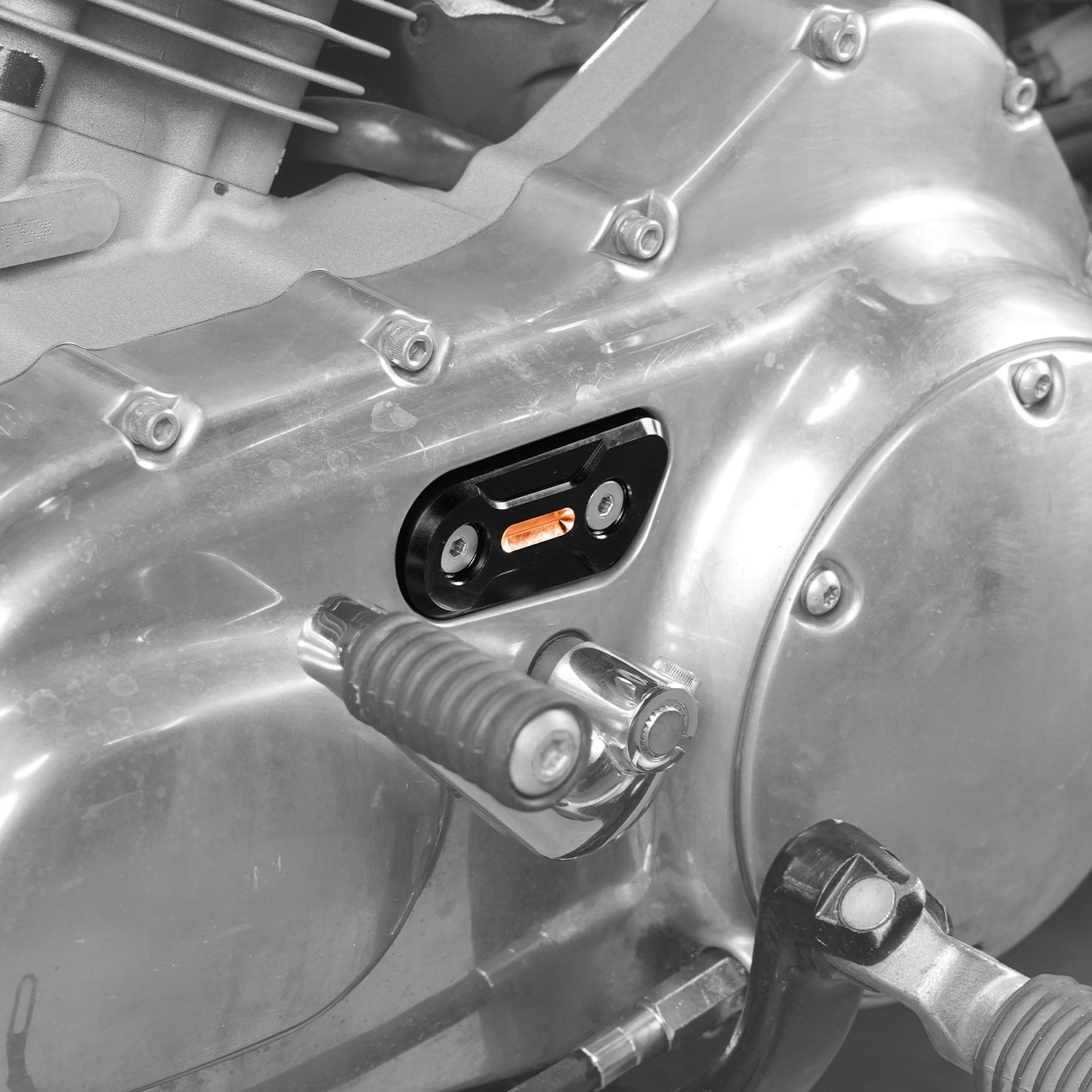 Inspection Cover Plate For Harley Sportster 1200 72 48 XL Iron 883 Roadster