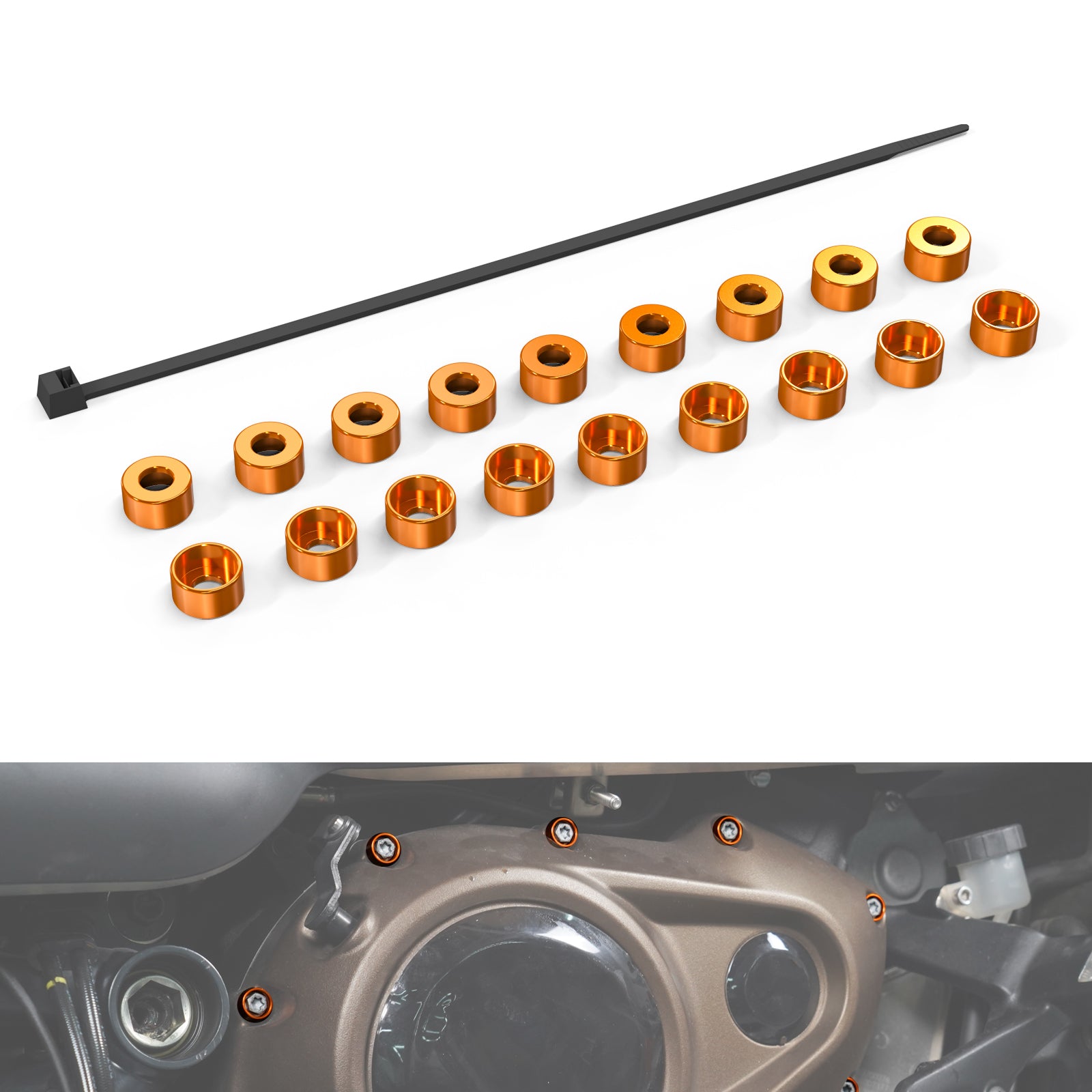 Metallic Primary Engine Cover Bolts Caps Trims For Harley Sportster S Pan America 1250